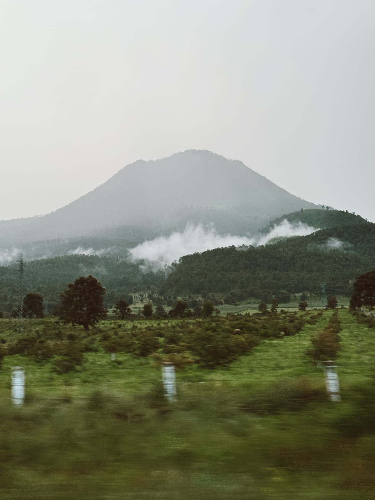 A mountain in low clouds above green fields