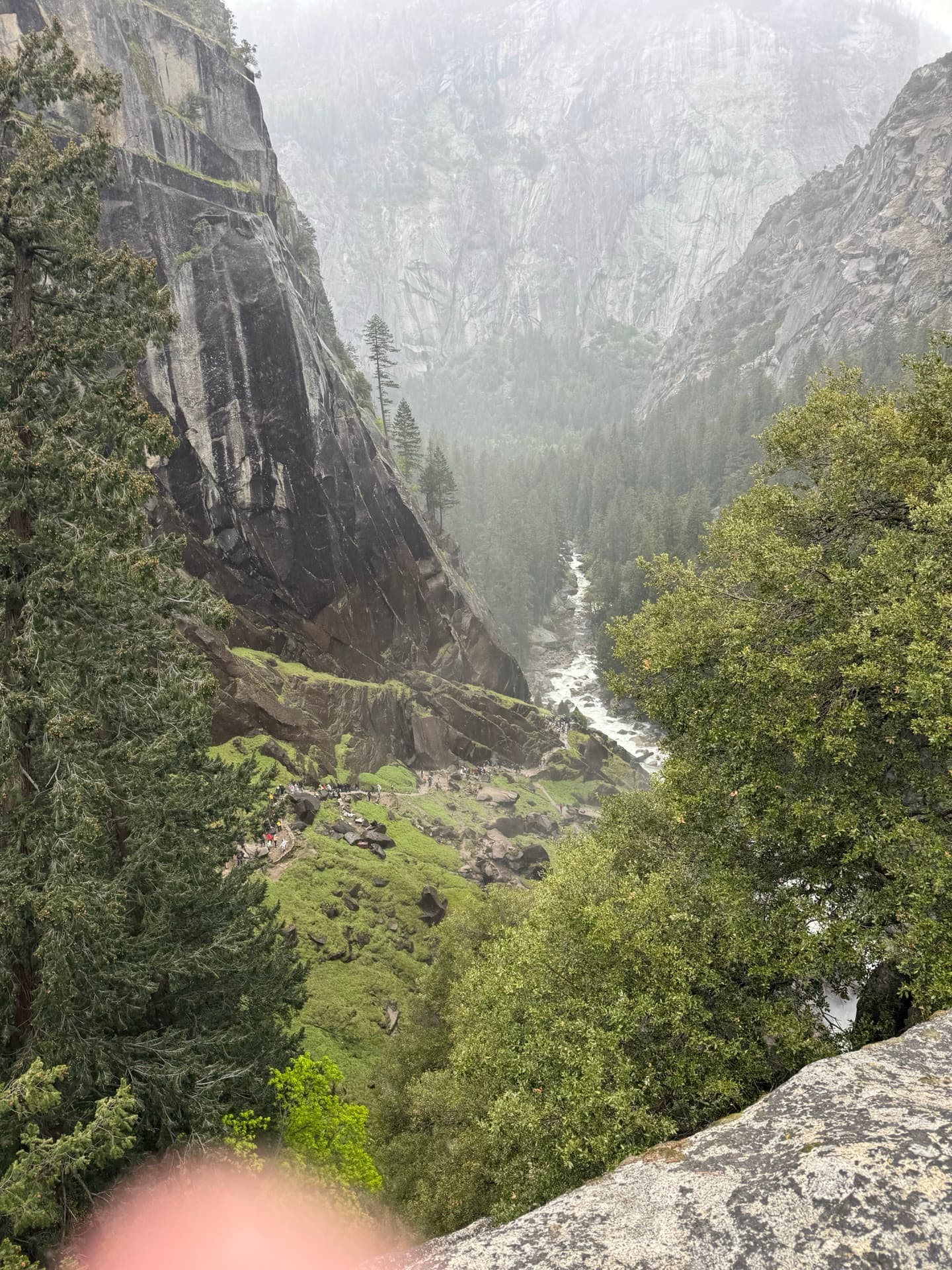 A river running through a misty canyon lined with pine trees